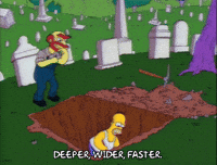 [Linked Image from media0.giphy.com]