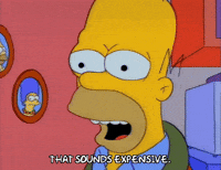 Expensive-ish GIFs - Get the best GIF on GIPHY