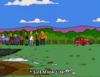 Homer Simpson Fire Gif Find Share On Giphy
