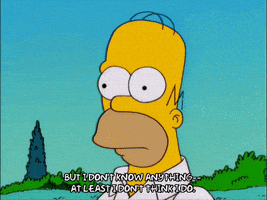 confused homer simpson GIF