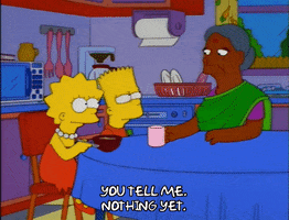 200.gif?cid=fc005b08780dc9f956f0b704def5d1ab1221d9a18680cd6d&rid=200.gif&ct=g