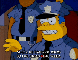 200.gif?cid=fc005b08156a14039649570133cc44d11639fff34052b097&rid=200.gif&ct=g