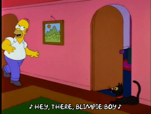 homer belly dancing
