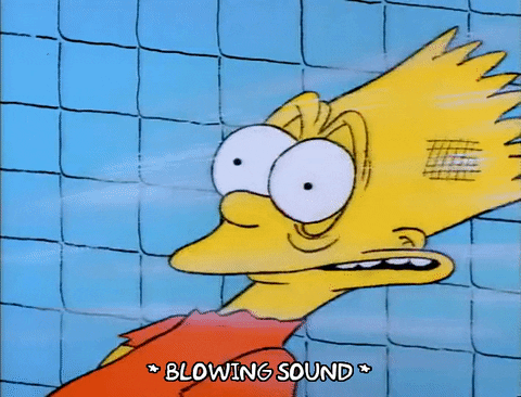 Season 1 Blow Dryer GIF by The Simpsons - Find & Share on GIPHY
