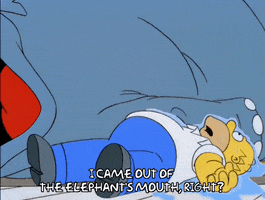 200.gif?cid=fc005b08249bcb924dc4e7508fb5f5a35d3d1aac02c5d432&rid=200.gif&ct=g