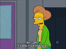 Episode 2 School GIF by The Simpsons