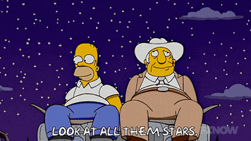 Episode 11 The Rich Texan GIF by The Simpsons