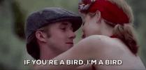 Movie gif. Ryan Gosling as Noah Calhoun in the Notebook carries Rachel McAdams as Allie Hamilton in his arm. She wraps her arms around his beck and looks at him with love as he says, “If you’re a bird, I’m a bird.”