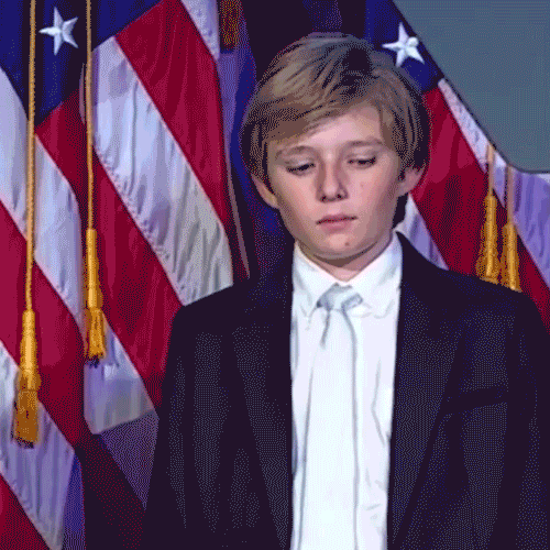 alexandrelegault-dery trump election2016 GIF