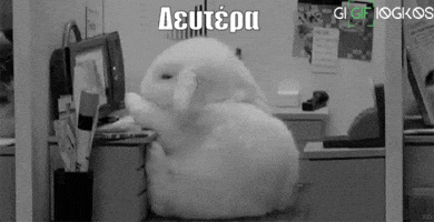 vaggelisharogiannis lista gigifiogkos sokolata GIF