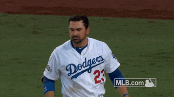 Los Angeles Dodgers No GIF by MLB