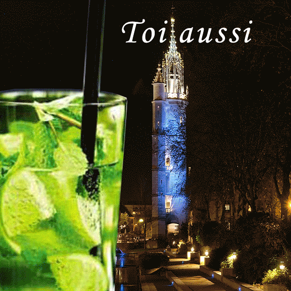 colinelisa i love mojitos GIF