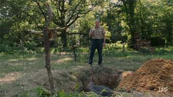 dana gould lol GIF by IFC