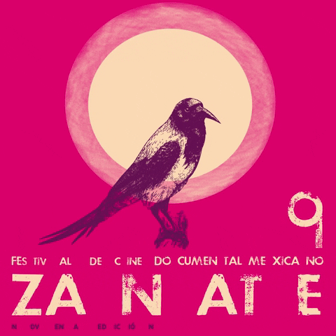 Presentadores GIF by Festival Zanate