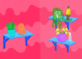 mannietee shelves boobs plants butt GIF