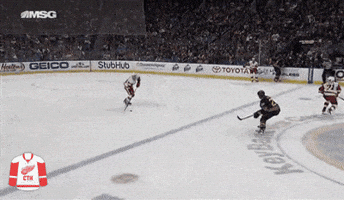 Vis  GIF