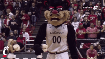 excited cincinnati bearcats GIF by University of Cincinnati Athletics