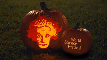 halloween  einsteins GIF by World Science Festival