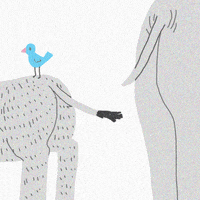 200.gif?cid=fc005b08d486b596657eb210ef1995d4b124f8eada1c64ae&rid=200.gif&ct=g