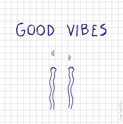 Image result for gif good vibes