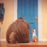 200w.gif#45