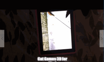 bigmonkgames ipad cat games ipad cat games cat games 3d GIF