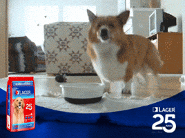 lager  GIF