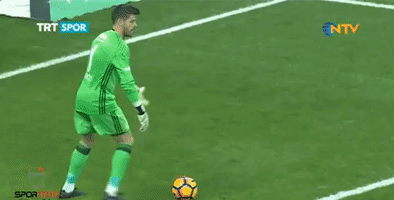 Tribunbesiktas GIF