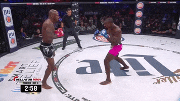knock out ko GIF by Bellator