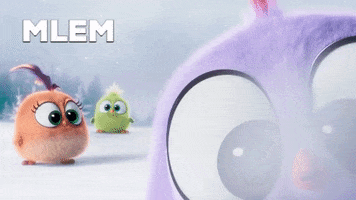 winter is coming hatchlings GIF by Angry Birds