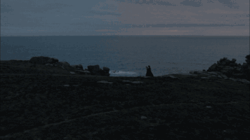 ocean cornwall GIF by MASTERPIECE | PBS