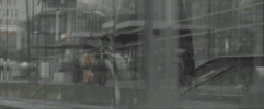 Horse Toon GIF