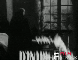 french mystery GIF by FilmStruck