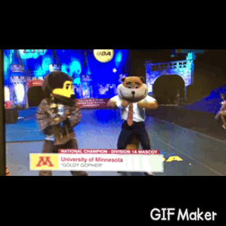 championship nationals GIF by Goldy the Gopher - University of Minnesota
