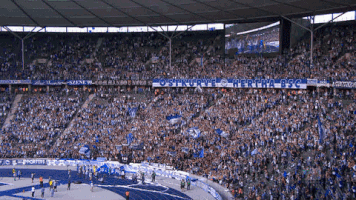 party fans GIF by Hertha BSC