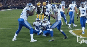 Detroit Lions Fighting GIF by NFL