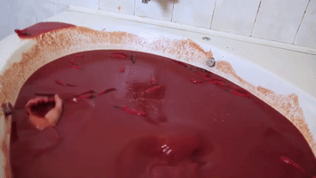 Bath Bathing GIF