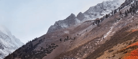 Prueba GIF