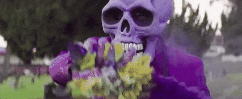 dia de los muertos celebration GIF by Fall Out Boy