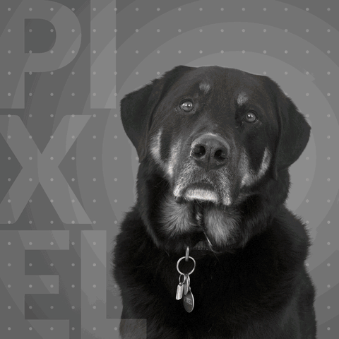 Marketing Designplus GIF