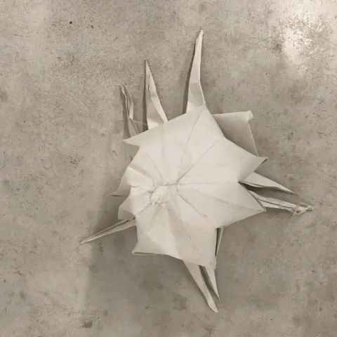 Flowoctopoda GIF