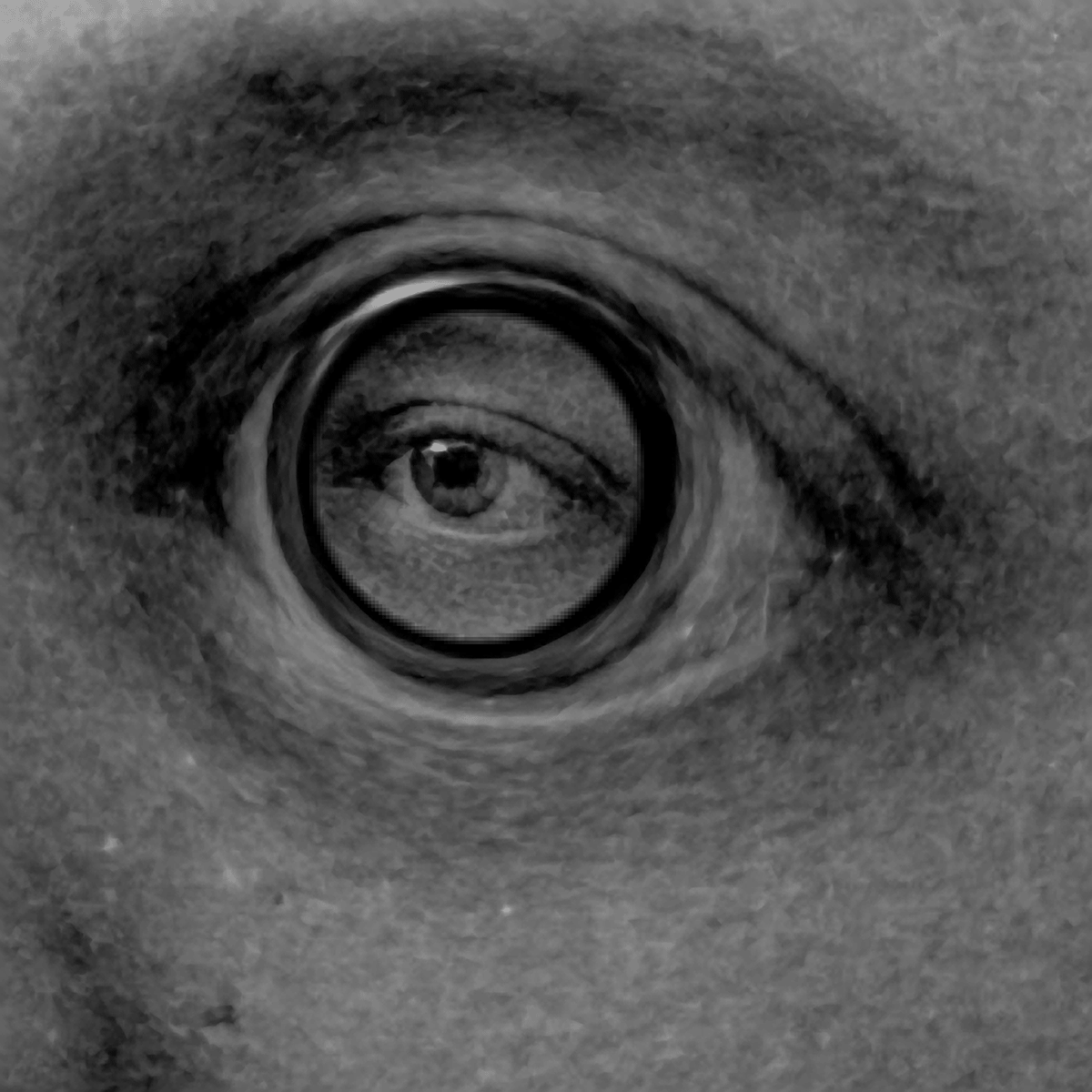  Find & Share on GIPHY