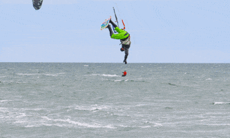honolulu dodo mamaia jimmy manolache GIF