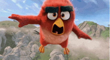 fly GIF by Angry Birds