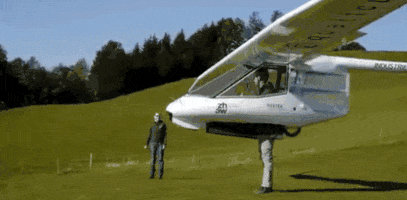 trend  GIF