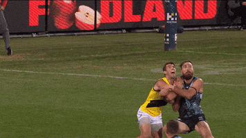 mark dixon GIF by Port Adelaide FC
