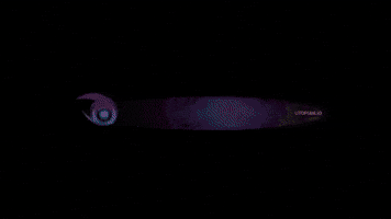 Utopiangif GIF