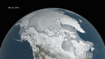 nasa sea ice GIF by NASA's Goddard Space Flight Center