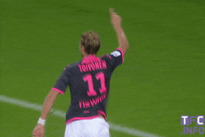 celebrate ligue 1 GIF by Toulouse Football Club