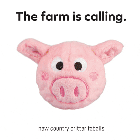 aleanbhnichearnaigh  GIF